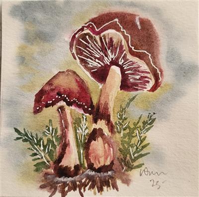 mushroom 1