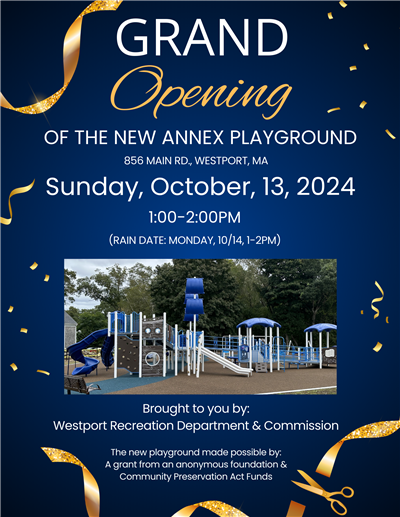 playground flyer