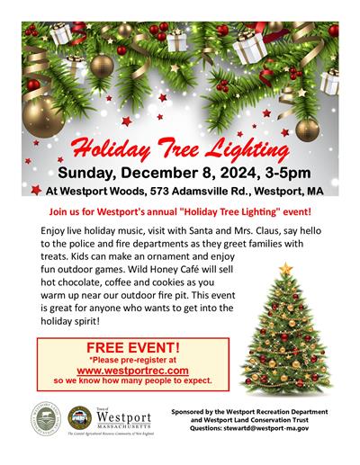 Holiday tree lighting 2024