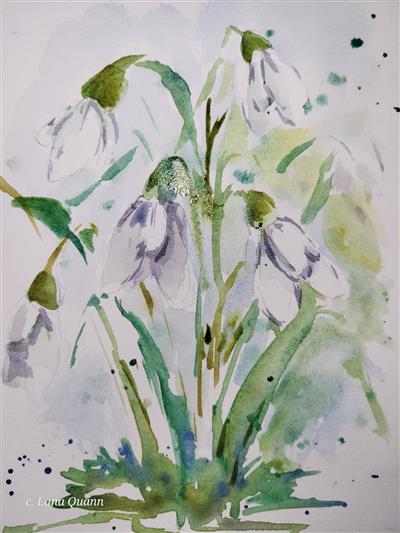 snowdrop flowers