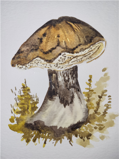 mushroom 2