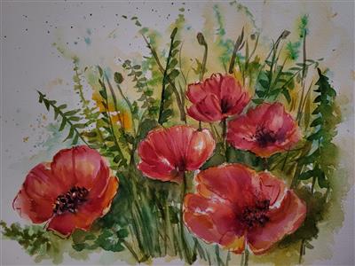 Wild poppies 1